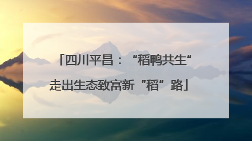四川平昌：“稻鸭共生”走出生态致富新“稻”路