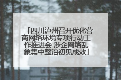 四川泸州召开优化营商网络环境专项行动工作推进会 涉企网络乱象集中整治初见成效