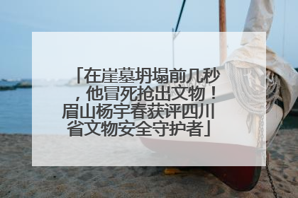 在崖墓坍塌前几秒，他冒死抢出文物！眉山杨宇春获评四川省文物安全守护者