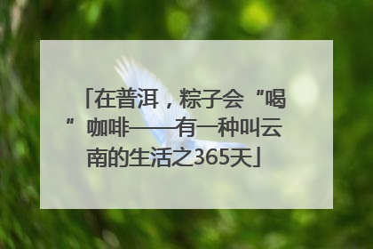 在普洱，粽子会“喝”咖啡——有一种叫云南的生活之365天