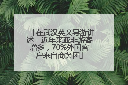 在武汉英文导游讲述：近年来亚非游客增多，70%外国客户来自商务团