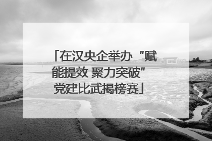 在汉央企举办“赋能提效 聚力突破”党建比武揭榜赛