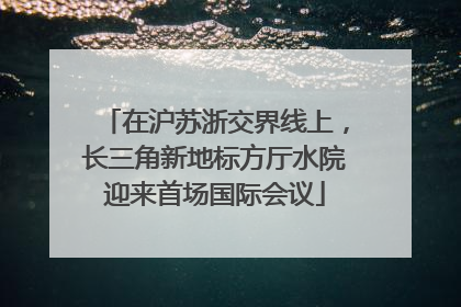 在沪苏浙交界线上，长三角新地标方厅水院迎来首场国际会议
