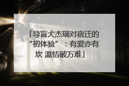 导盲犬杰瑞对宿迁的“初体验”：有爱亦有坎 温情破万难