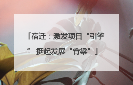 宿迁：激发项目“引擎” 挺起发展“脊梁”
