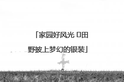 家园好风光 ⎮田野披上梦幻的银装