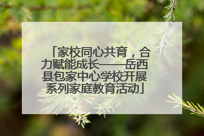 家校同心共育，合力赋能成长——岳西县包家中心学校开展系列家庭教育活动