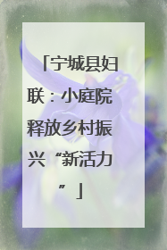 宁城县妇联：小庭院释放乡村振兴“新活力”