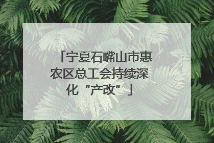 宁夏石嘴山市惠农区总工会持续深化“产改”