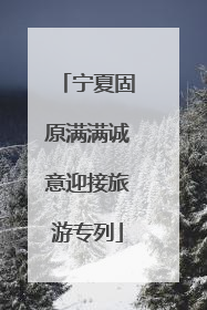 宁夏固原满满诚意迎接旅游专列