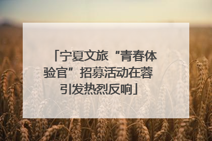 宁夏文旅“青春体验官”招募活动在蓉引发热烈反响