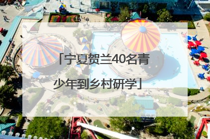 宁夏贺兰40名青少年到乡村研学