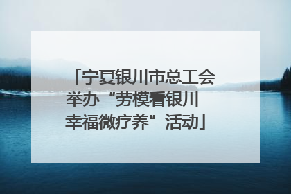 宁夏银川市总工会举办“劳模看银川 幸福微疗养”活动