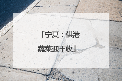 宁夏：供港蔬菜迎丰收