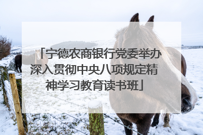 宁德农商银行党委举办深入贯彻中央八项规定精神学习教育读书班