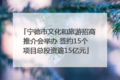 宁德市文化和旅游招商推介会举办 签约15个项目总投资逾15亿元
