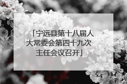 宁远县第十八届人大常委会第四十九次主任会议召开