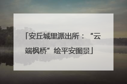 安丘城里派出所：“云端枫桥”绘平安图景
