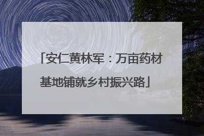 安仁黄林军：万亩药材基地铺就乡村振兴路