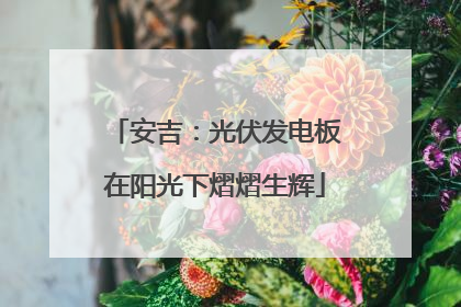 安吉：光伏发电板在阳光下熠熠生辉