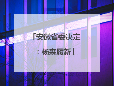 安徽省委决定：杨森履新
