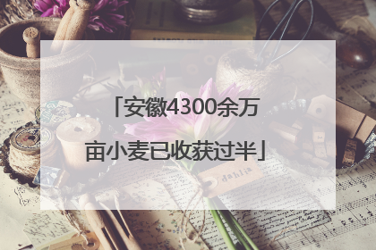 安徽4300余万亩小麦已收获过半