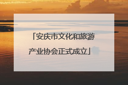 安庆市文化和旅游产业协会正式成立