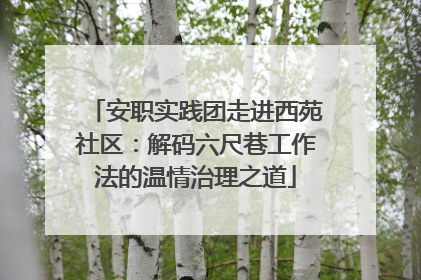 安职实践团走进西苑社区：解码六尺巷工作法的温情治理之道