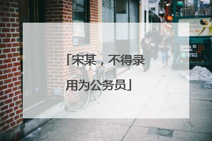 宋某，不得录用为公务员