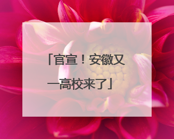 官宣！安徽又一高校来了