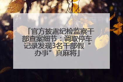 官方披露纪检监察干部查案细节：调取停车记录发现3名干部假“办事”真麻将