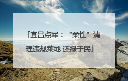 宜昌点军：“柔性”清理违规菜地 还绿于民