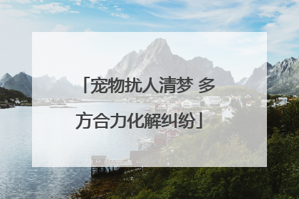 宠物扰人清梦 多方合力化解纠纷