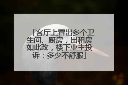 客厅上冒出多个卫生间、厨房，出租房如此改，楼下业主投诉：多少不舒服