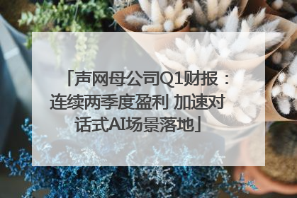 声网母公司Q1财报：连续两季度盈利 加速对话式AI场景落地