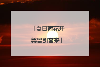 夏日荷花开 美景引客来