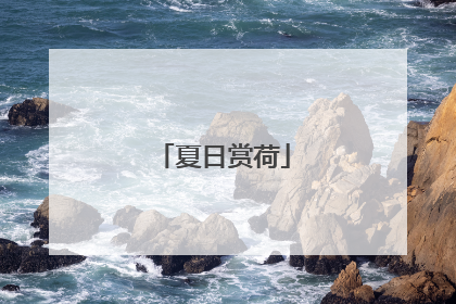 夏日赏荷
