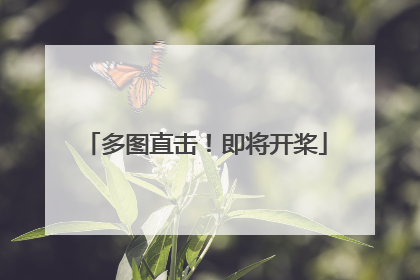 多图直击！即将开桨