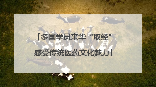 多国学员来华“取经” 感受传统医药文化魅力