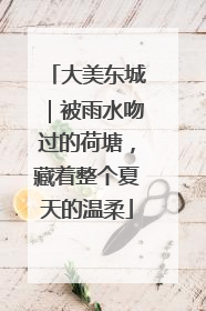 大美东城｜被雨水吻过的荷塘，藏着整个夏天的温柔