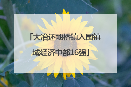 大冶还地桥镇入围镇域经济中部16强