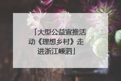 大型公益宣推活动《理想乡村》走进浙江嵊泗