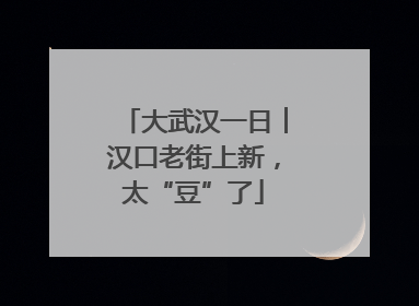 大武汉一日︱汉口老街上新，太“豆”了