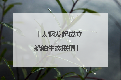 太钢发起成立船舶生态联盟