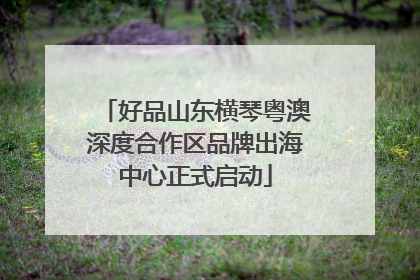 好品山东横琴粤澳深度合作区品牌出海中心正式启动