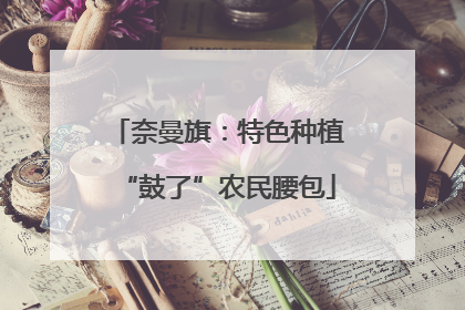 奈曼旗：特色种植“鼓了”农民腰包