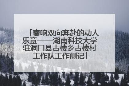 奏响双向奔赴的动人乐章——湖南科技大学驻洞口县古楼乡古楼村工作队工作侧记