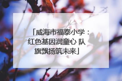 威海市福泰小学：红色基因润童心 队旗飘扬筑未来