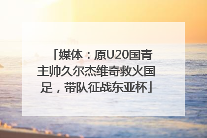 媒体：原U20国青主帅久尔杰维奇救火国足，带队征战东亚杯