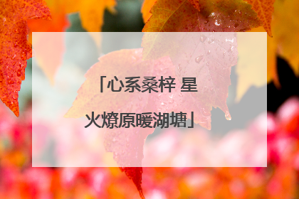 心系桑梓 星火燎原暖湖塘